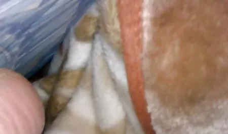 چاق,نازک,پیرمرد سکس زنان روسی